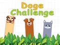Oyunu Doge Challenge