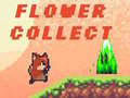 Oyunu Flower Collect
