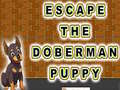 Oyunu Escape The Doberman Puppy
