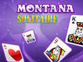 Oyunu Montana Solitaire