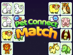 Oyunu Pet Connect Match