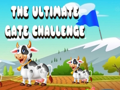 Oyunu The Ultimate Gate Challenge