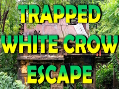 Oyunu Trapped White Crow Escape