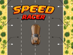 Oyunu Speed Racer