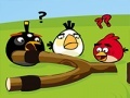 Oyunu Angry Birds Go Crazy