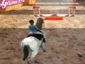 Oyunu Horse Jumping 3D