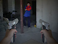 Oyunu First Person Shooter In Real Life 3