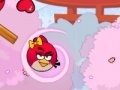 Oyunu Angry Birds Lover