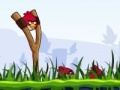 Oyunu Angry Birds