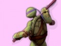 Oyunu Ninja Turtles Colours Memory