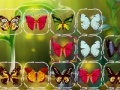 Oyunu Butterfly Connect