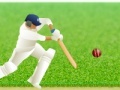 Oyunu Cricket Defend the Wicket!