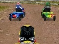 Oyunu Lawnmower Racing 3D