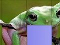 Oyunu Frog Slide Puzzle