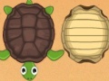 Oyunu Guess the turtle