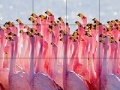 Oyunu Flamingo family slide puzzle