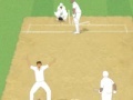 Oyunu Cricket Umpire Decision