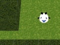 Oyunu Panda Hates Mazes