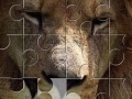 Oyunu Lion Jigsaw