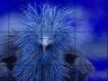 Oyunu Timid blue bird slide puzzle