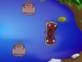Oyunu Hippo Pond