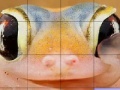 Oyunu Pink frog slide puzzle