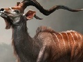 Oyunu Wild antelope slide puzzle