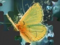 Oyunu Butterfly