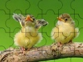 Oyunu Two cute sparrow puzzle
