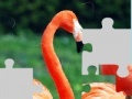 Oyunu Flamingo puzzle
