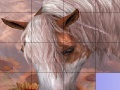 Oyunu Slide Puzzle: Horse