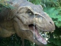 Oyunu Tyrannosaurus Rex Jigsaw
