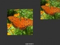 Oyunu Orange Butterfly