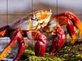 Oyunu Red crab slide puzzle