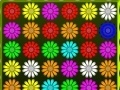Oyunu Flower Action Puzzle