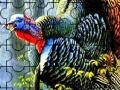 Oyunu Colorful turkey in the forest puzzle