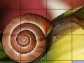 Oyunu Snail and flower slide puzzle