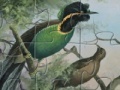 Oyunu Birds of Paradise Jigsaw