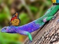 Oyunu Lizard and butterflies puzzle