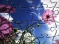 Oyunu Puzzle Flowers -1
