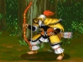 Oyunu Dynasty Fighter