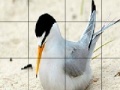 Oyunu Orange beak bird slide puzzle