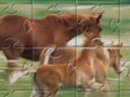 Oyunu Horse Family Jigsaw Puzzle