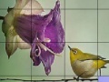 Oyunu Bird on a wire slide puzzle