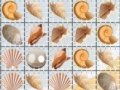 Oyunu Sea Shells