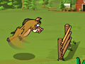 Oyunu Kaban Racetrack