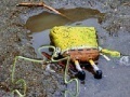 Oyunu SpongeBob Found Dead Jigsaw Puzzle