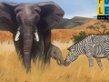 Oyunu Zebra And Elephants: Puzzle