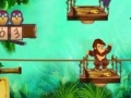 Oyunu Mr.Monkey