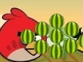 Oyunu Angry Birds - cut the rope